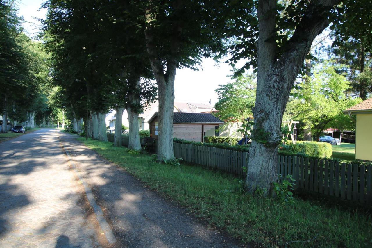 FeWo Ferienanlage Flessenow Exterior foto